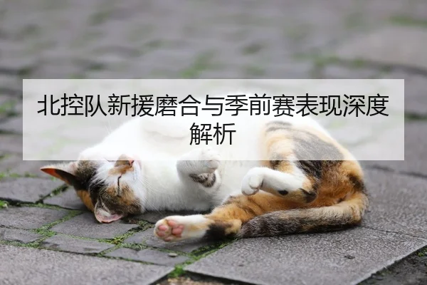 北控队新援磨合与季前赛表现深度解析